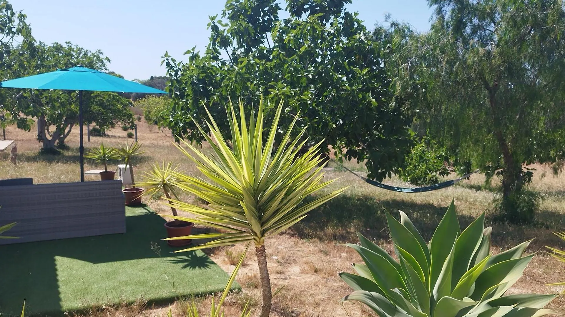 بيت ضيافة فندق Quinta Da Rocha Portimao Mexilhoeira Grande